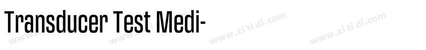 Transducer Test Medi字体转换